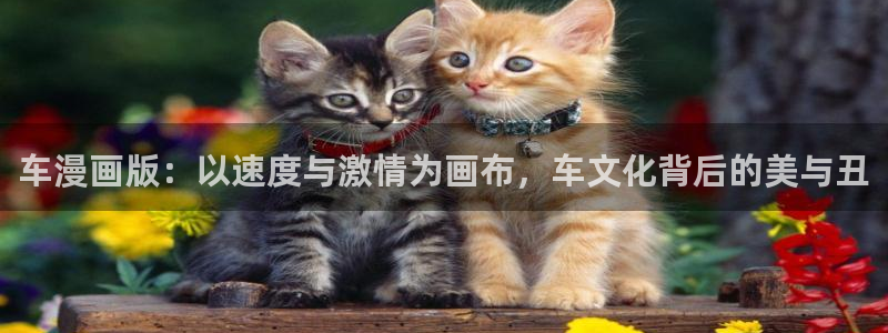 韩漫漫漫画免费版在线阅读