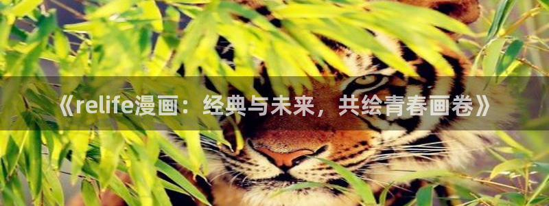 漫漫漫画在线观看